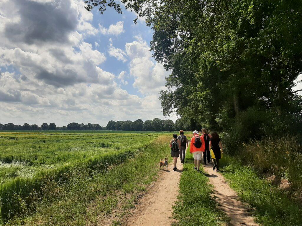 Wandelaars op een zonnige dag in het veld van Drenthe