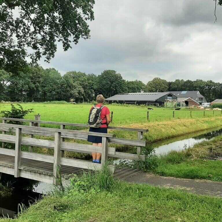 Wandelaarster op een bruggetje tussen de weilanden. 